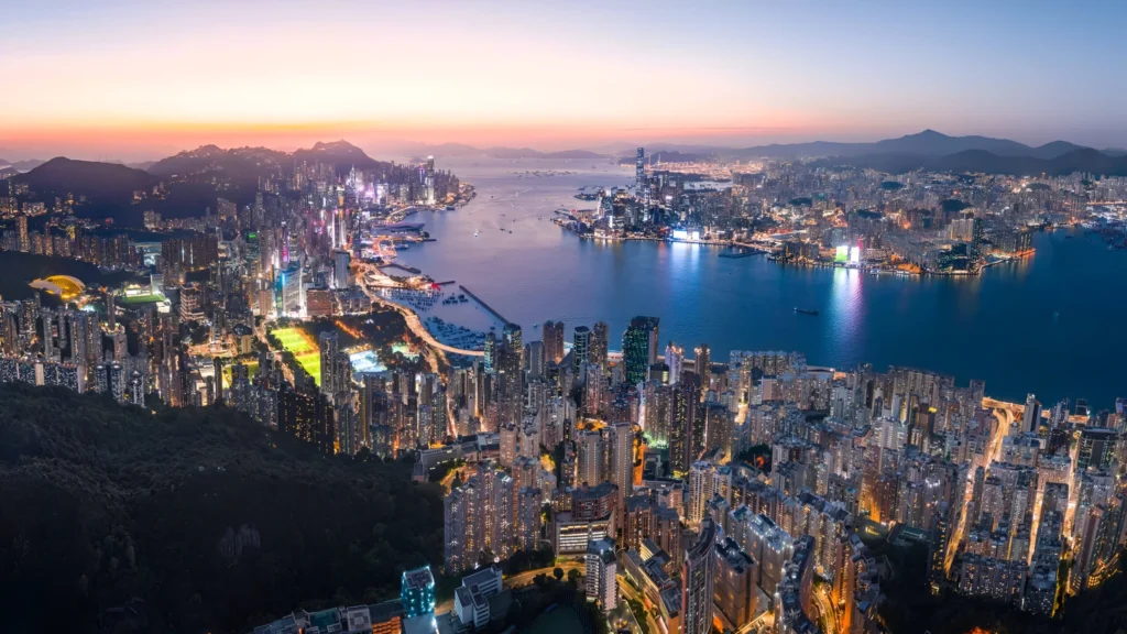 Company Formation Services